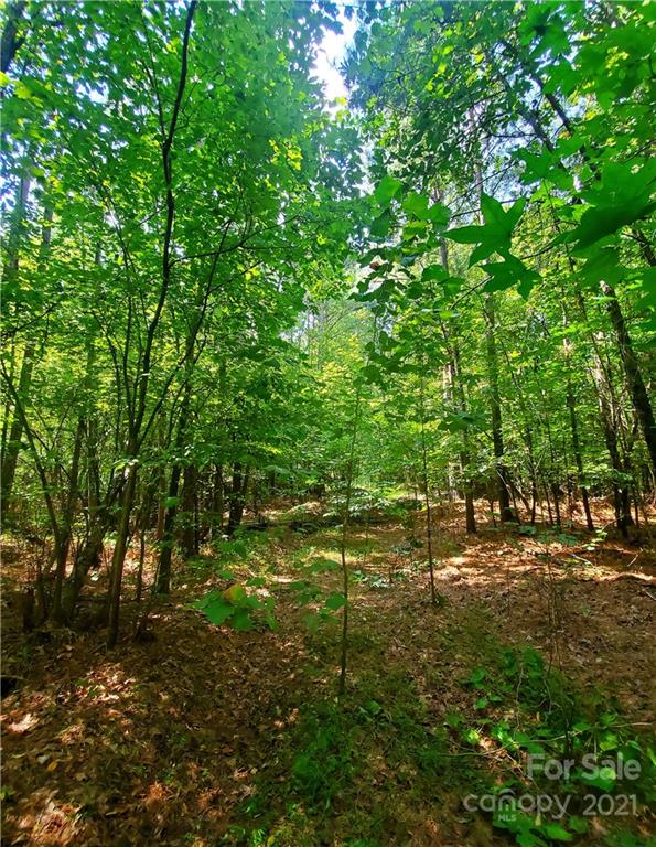 1634 Brown Chapel Road Catawba, NC 28609 - Photo 11 of 13 Gallery Image 11