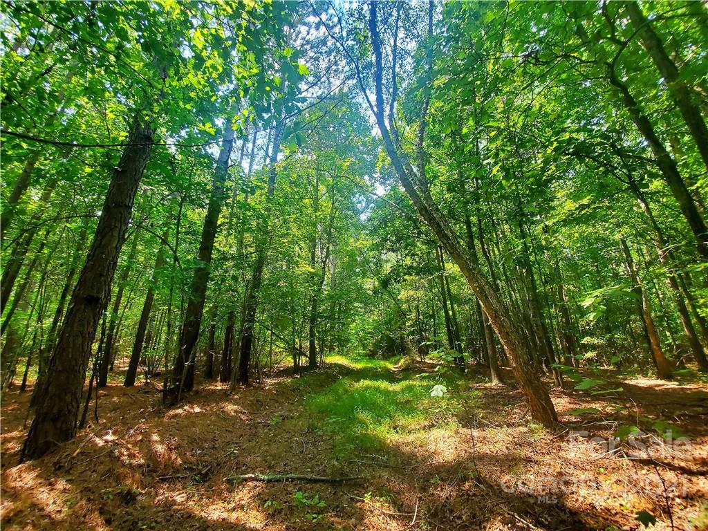 1634 Brown Chapel Road Catawba, NC 28609 - Photo 12 of 13 Gallery Image 12