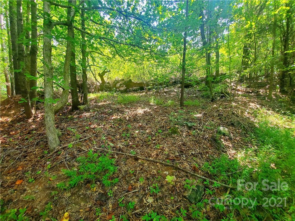 1634 Brown Chapel Road Catawba, NC 28609 - Photo 13 of 13 Gallery Image 13