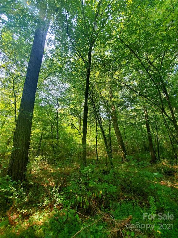 1634 Brown Chapel Road Catawba, NC 28609 - Photo 8 of 13 Gallery Image 8