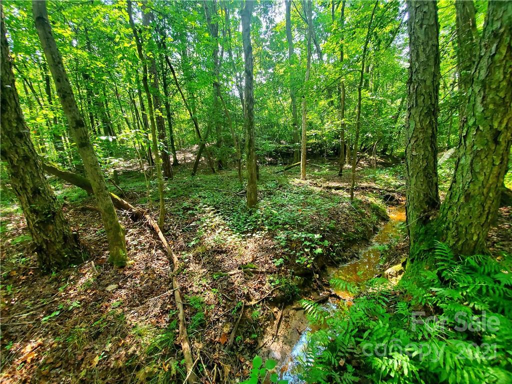 1634 Brown Chapel Road Catawba, NC 28609 - Photo 10 of 13 Gallery Image 10