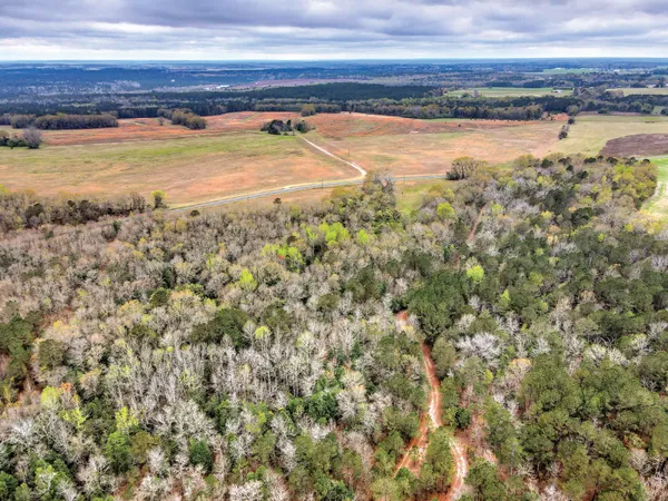 $68,040 | 9.72-ac Mile Bridge Way, Unit 9 72AC PARCEL, Ridge Spring, SC 29129