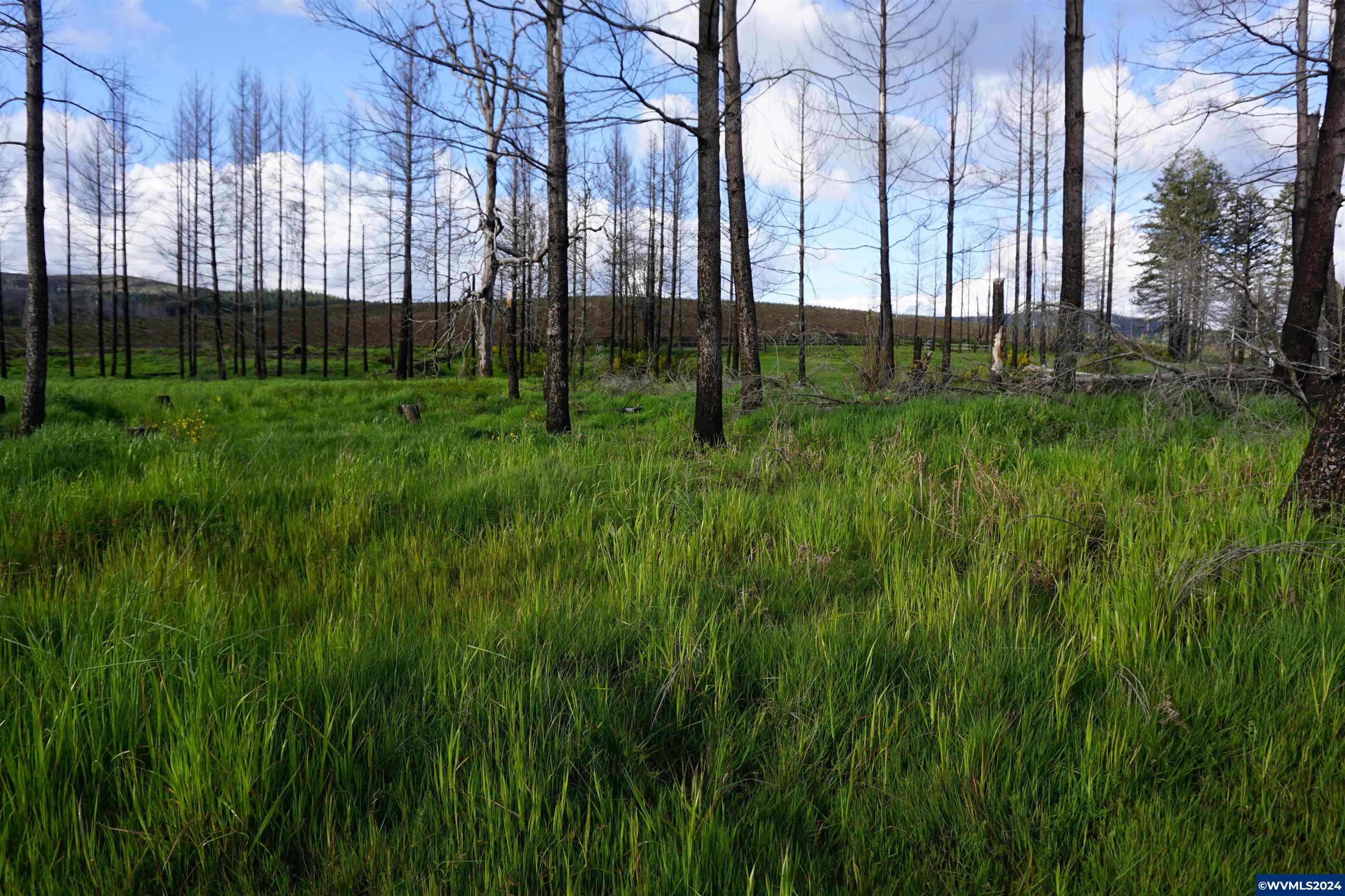 900 Wagner Road Lyons, OR 97358 - Photo 11 of 30