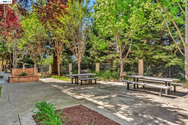 a view of park with bench and trees