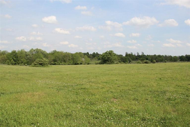 5353 Stewart Road Lexington, KY 40516 - Photo 8 of 22 Photo 8