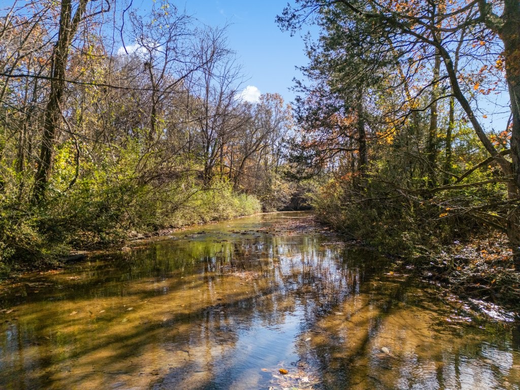 a view of residential houses with yard