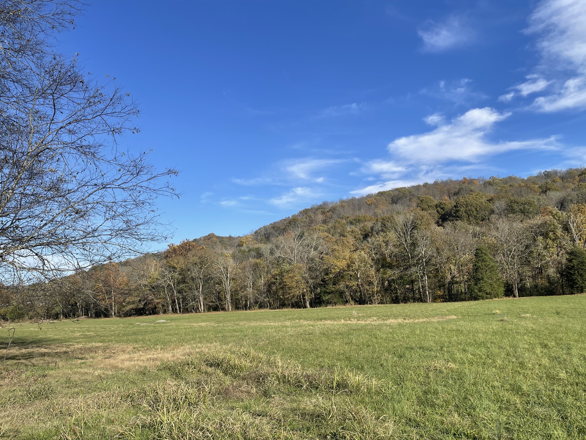 0 Locke Creek Road Readyville, TN 37149 - Photo 13 of 23 a view of grassy field with mountain