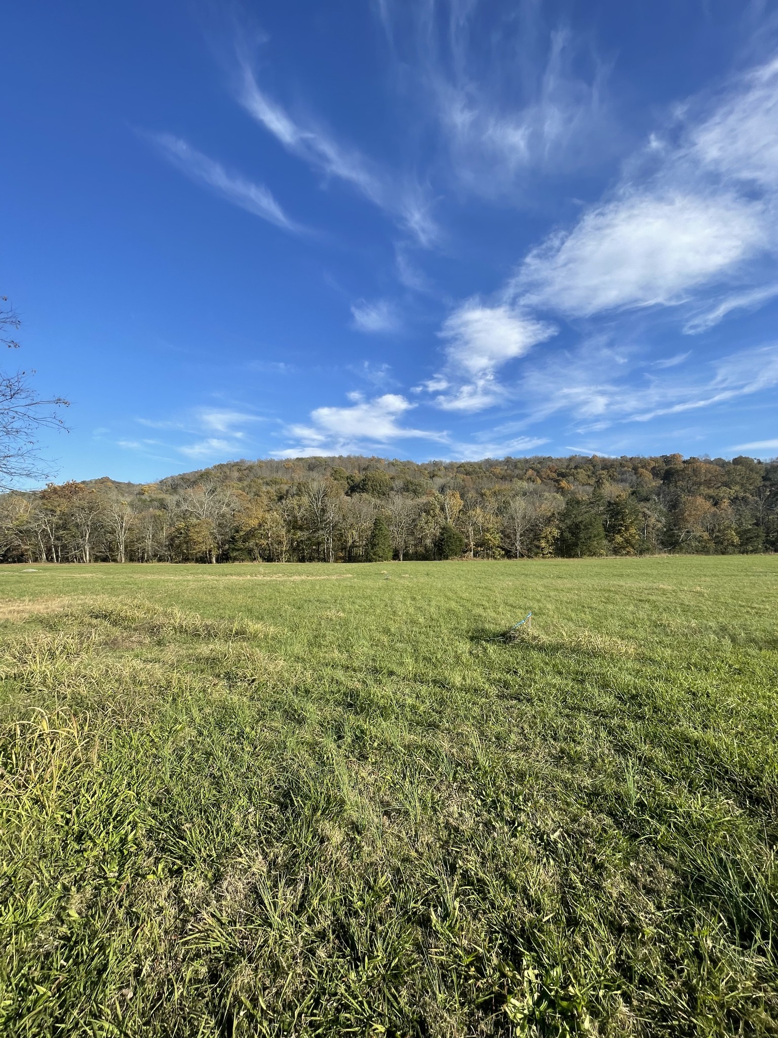 0 Locke Creek Road Readyville, TN 37149 - Photo 16 of 23 a view of a field with an ocean