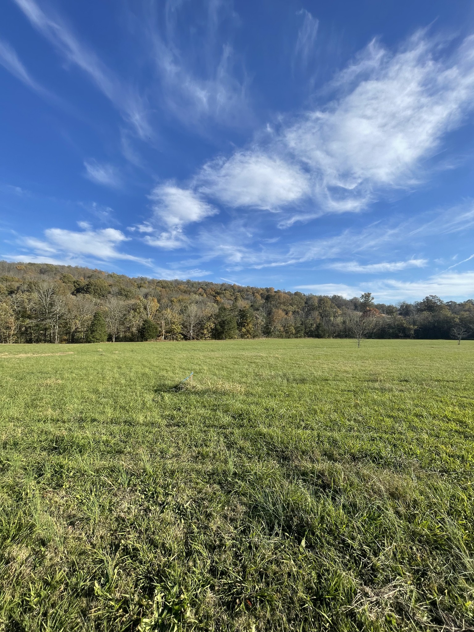 0 Locke Creek Road Readyville, TN 37149 - Photo 17 of 23 a view of outdoor space with mountain view