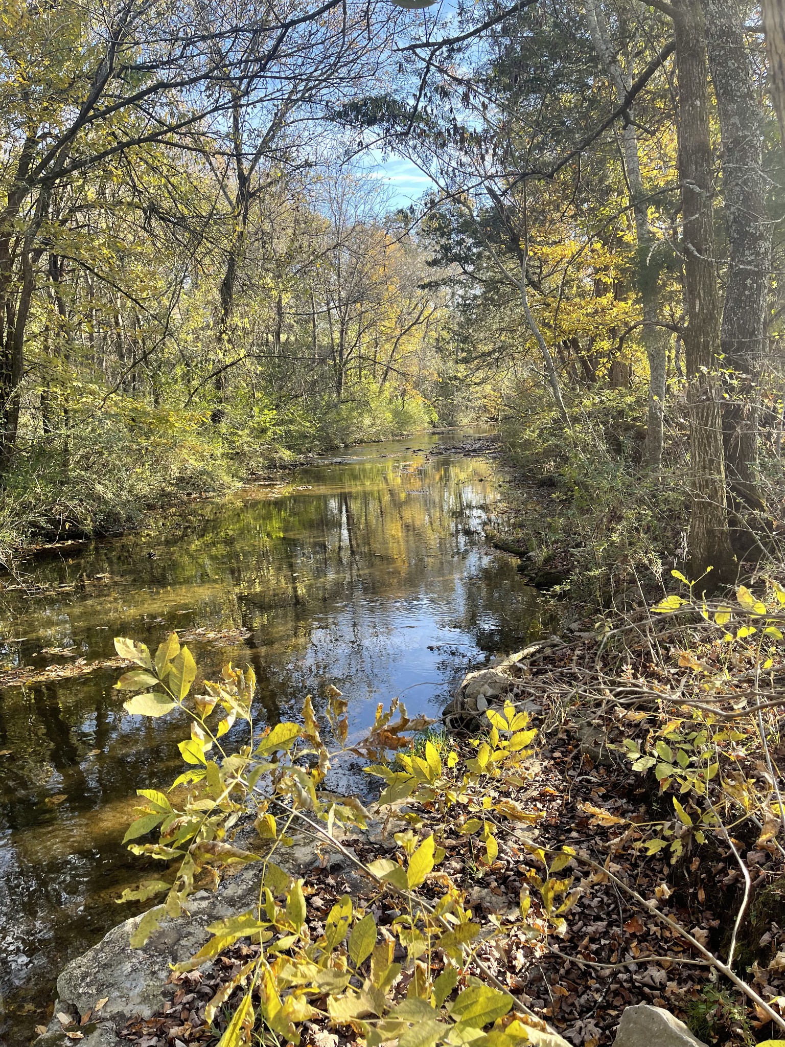 0 Locke Creek Road Readyville, TN 37149 - Photo 19 of 23