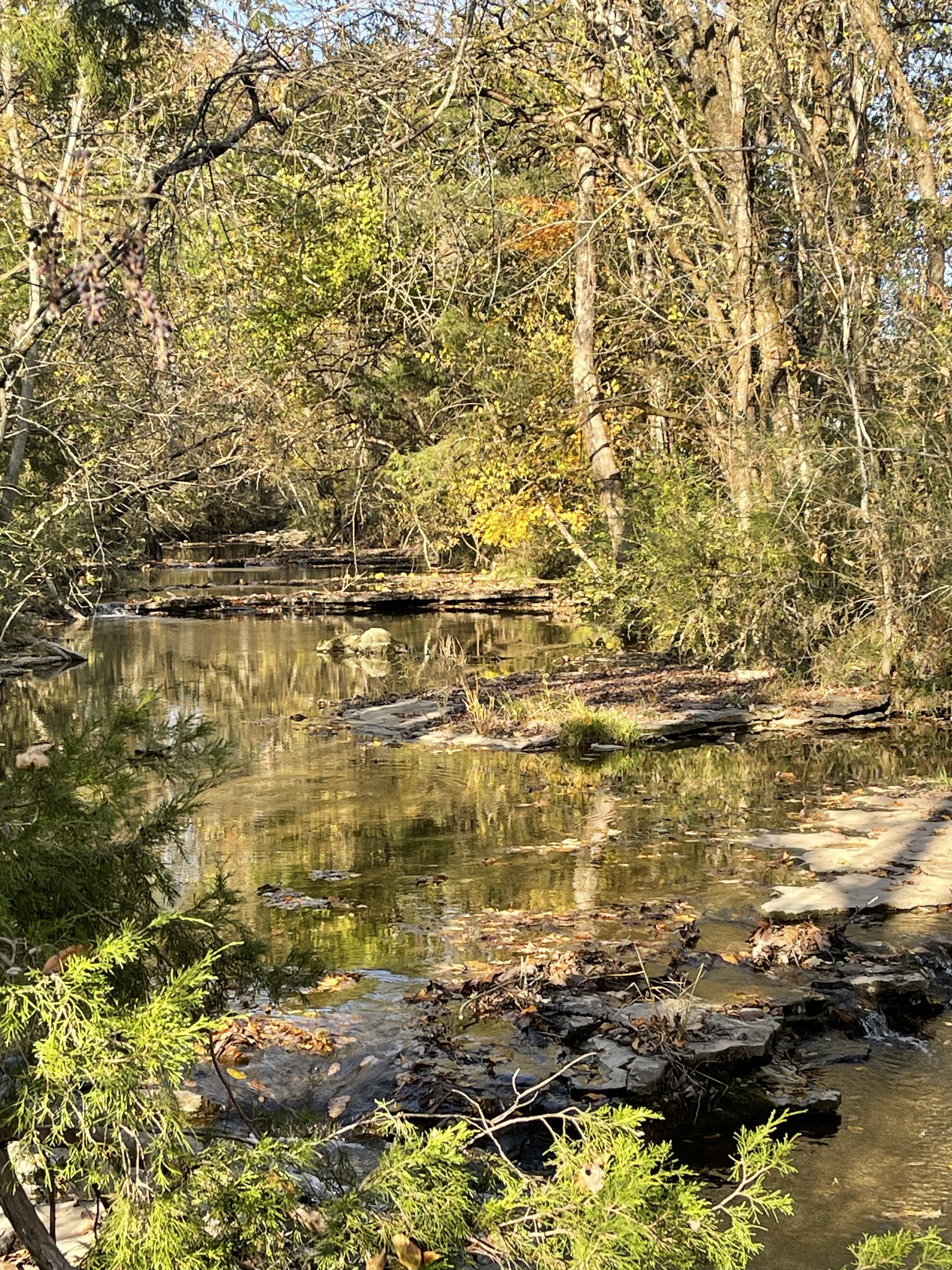 0 Locke Creek Road Readyville, TN 37149 - Photo 20 of 23