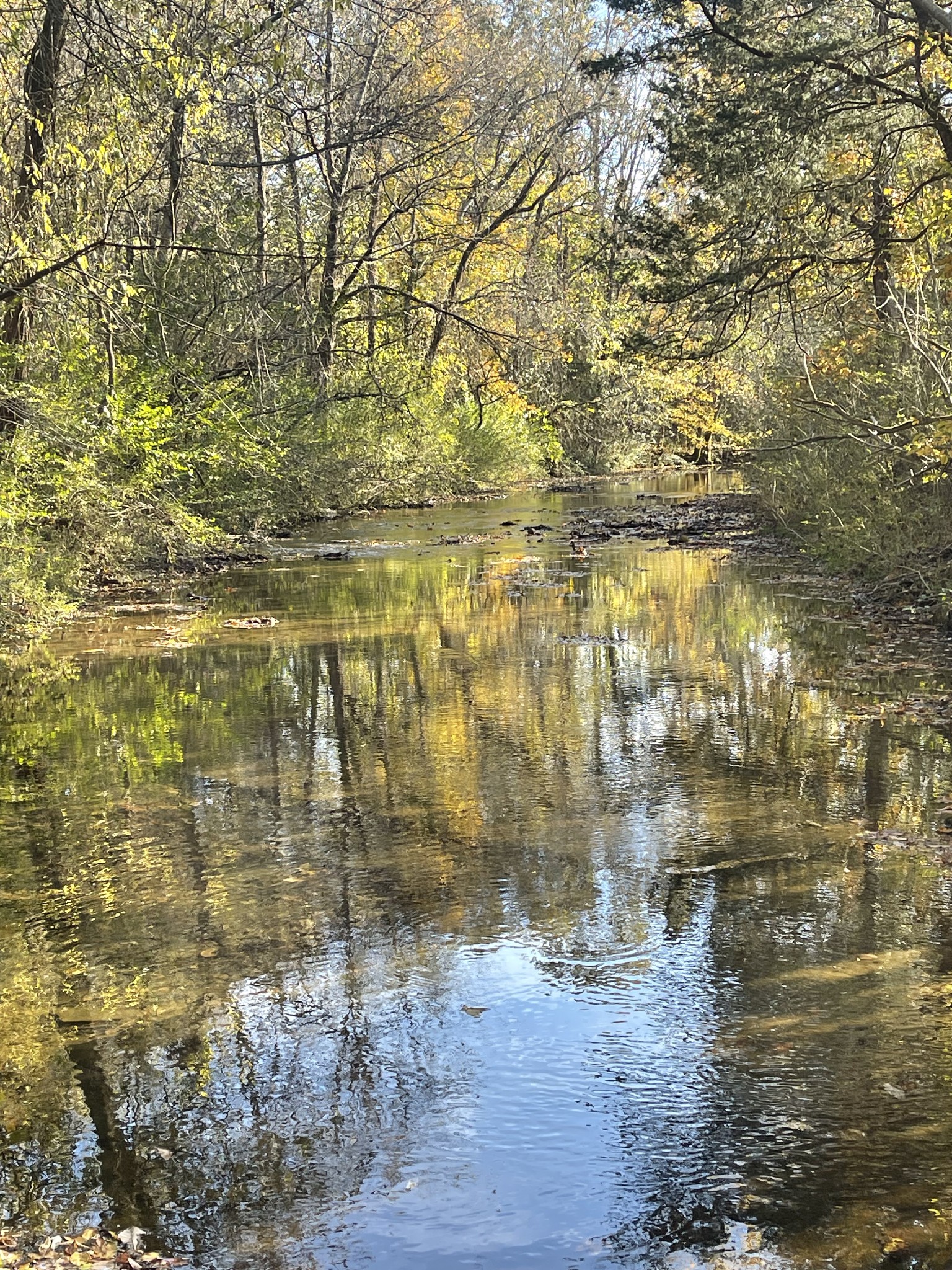 0 Locke Creek Road Readyville, TN 37149 - Photo 21 of 23