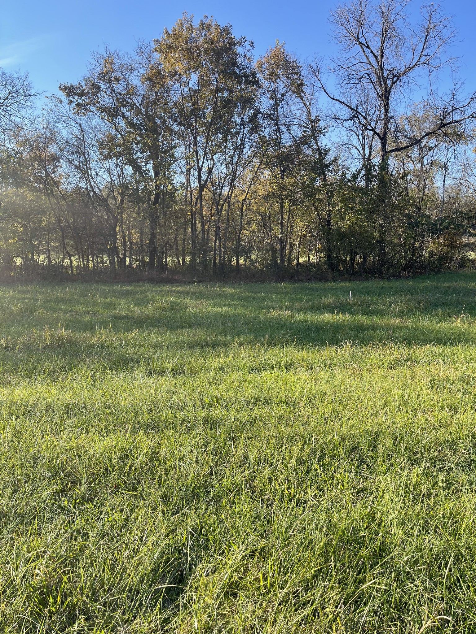 0 Locke Creek Road Readyville, TN 37149 - Photo 22 of 23 a view of a park