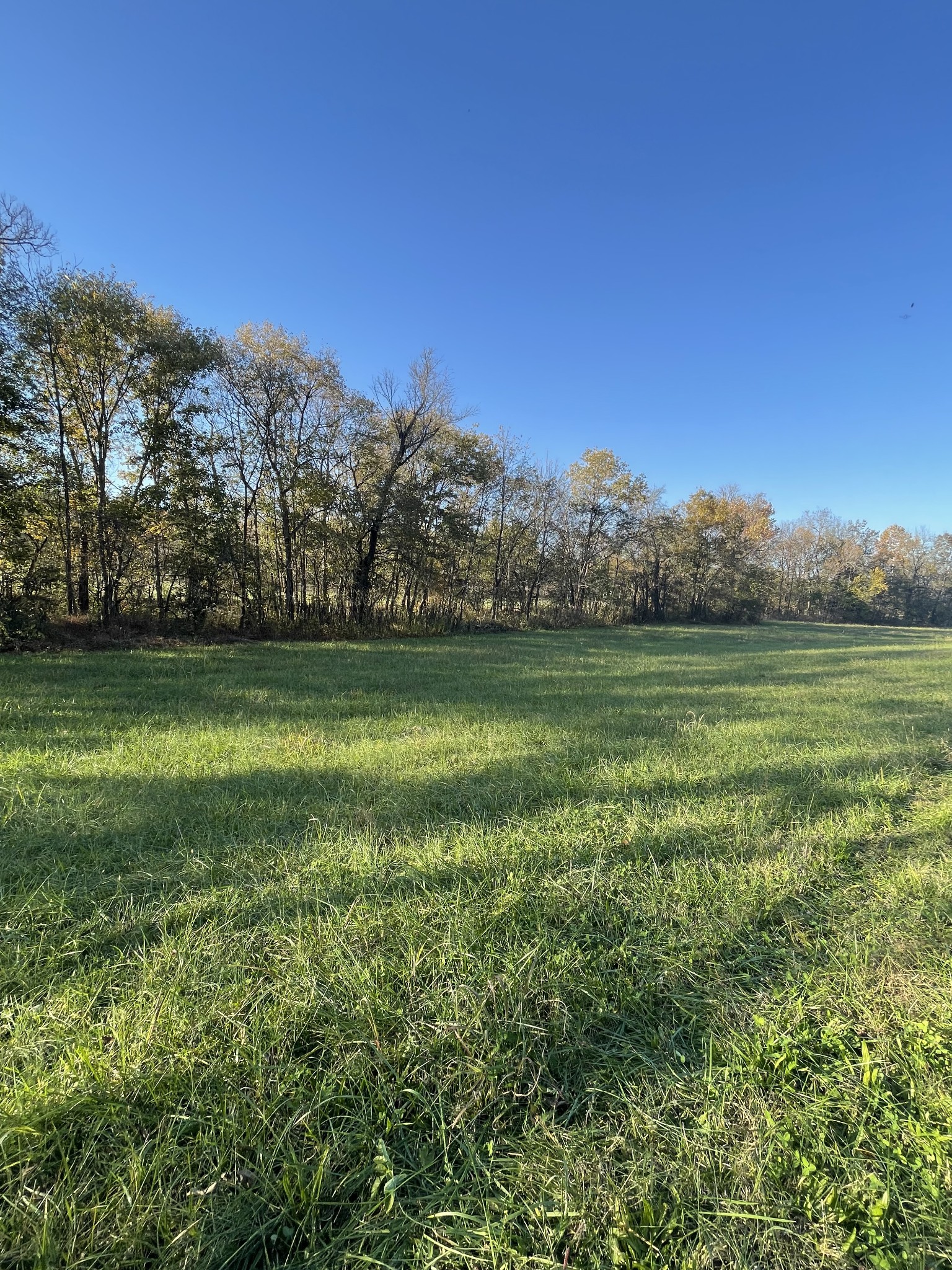 0 Locke Creek Road Readyville, TN 37149 - Photo 23 of 23 a view of a golf course with a lake
