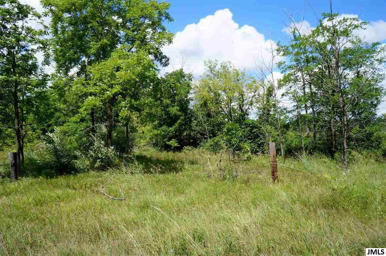 0 Felters Road Michigan Center, MI 49254 - Photo 3 of 7 Photo 3