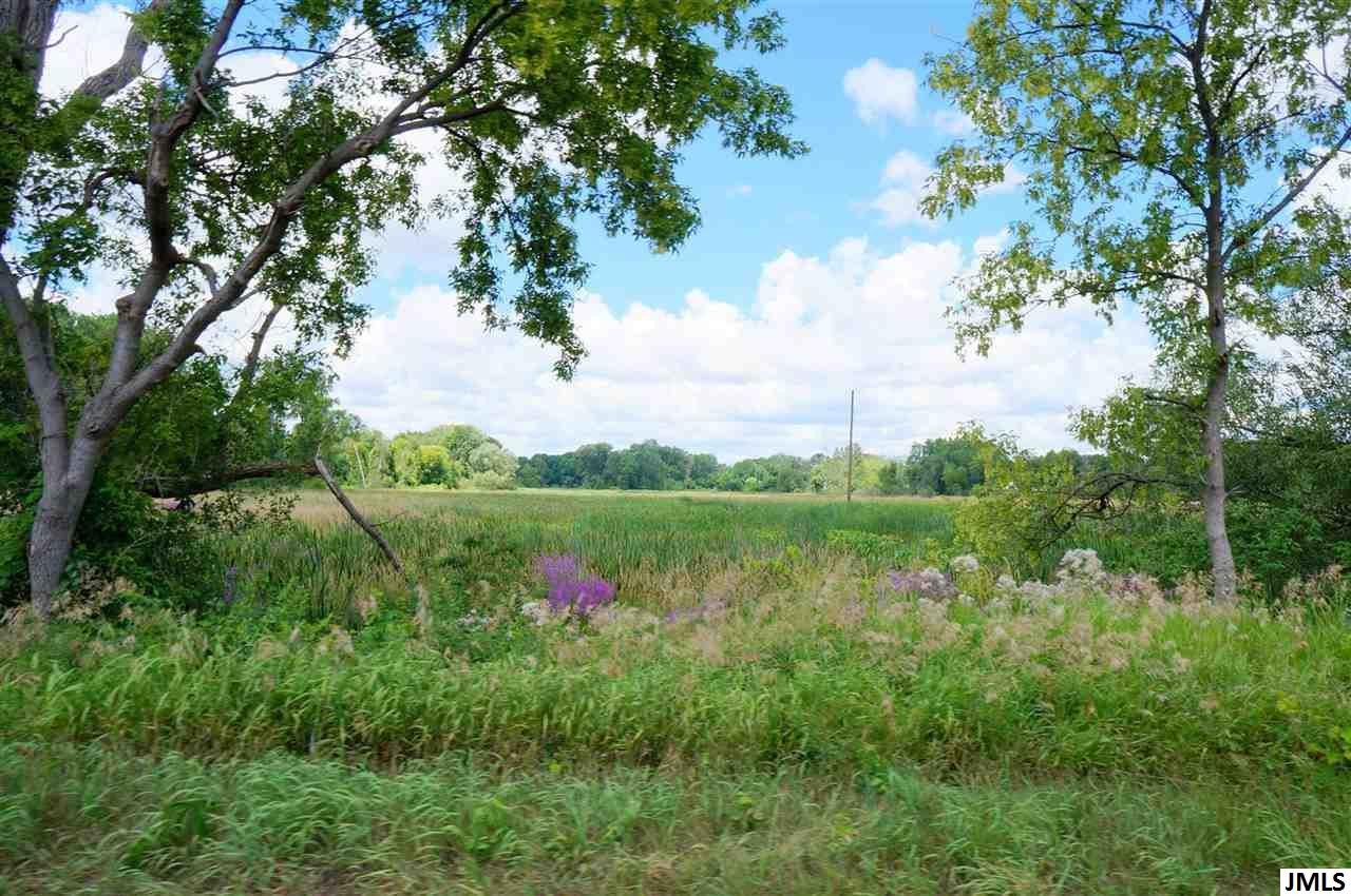 0 Felters Road Michigan Center, MI 49254 - Photo 5 of 7 Photo 5