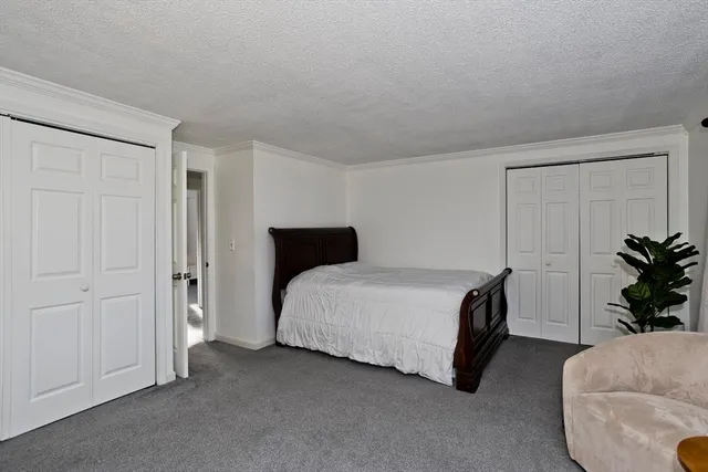 a spacious bedroom with a bed and a potted plant