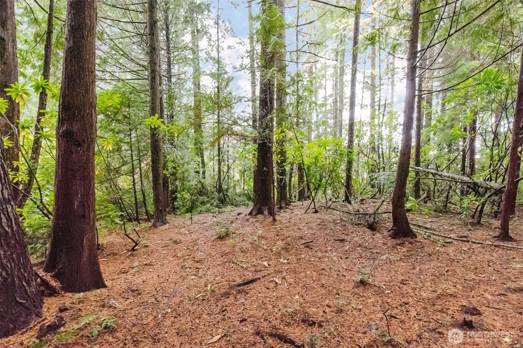 3303 Northwest Half Mile Road Silverdale, WA 98383 - Photo 20 of 33 a view of outdoor space and trees