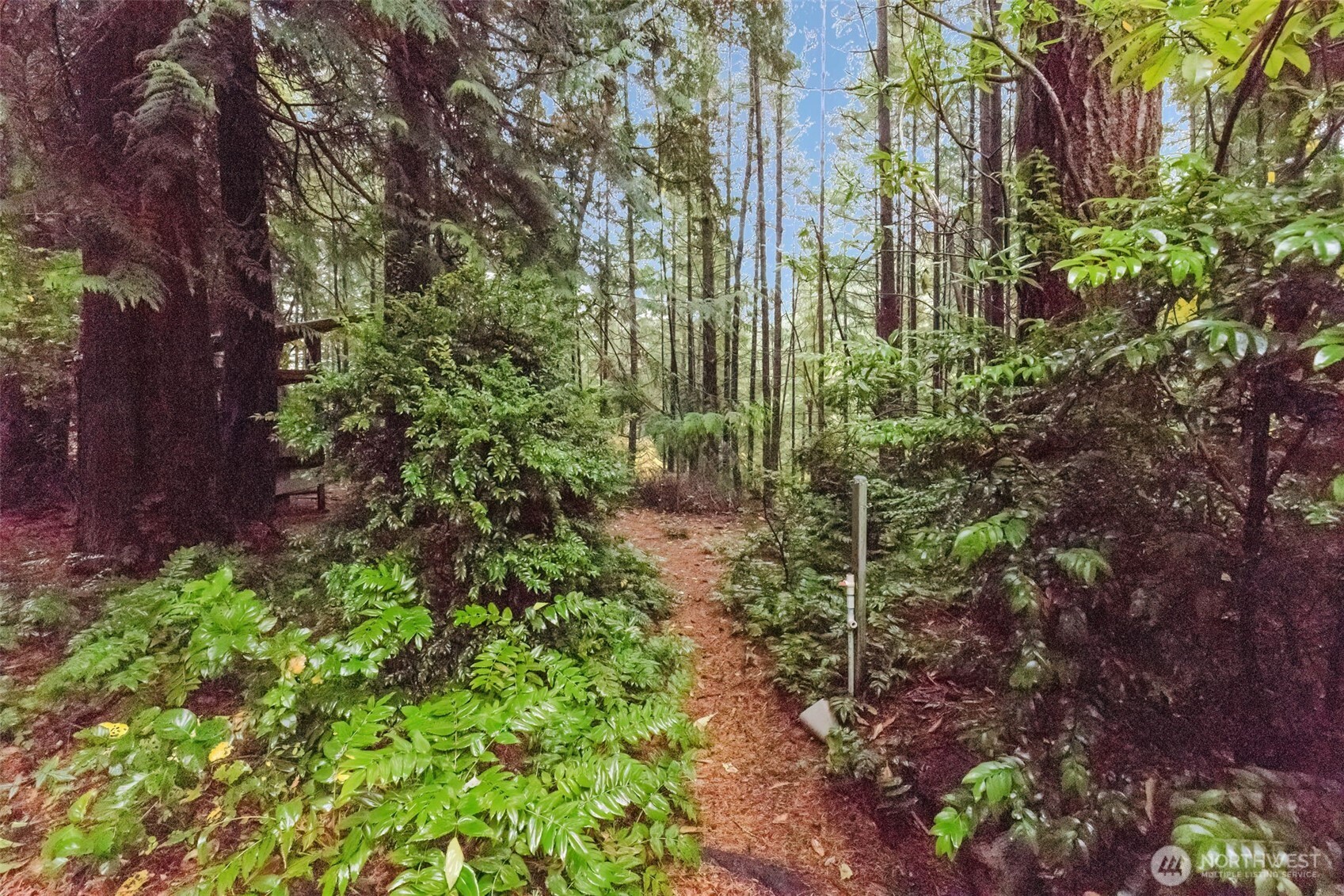 3303 Northwest Half Mile Road Silverdale, WA 98383 - Photo 25 of 33 a view of a garden with plants