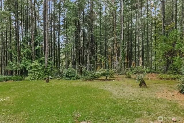 a view of a tree in the front of a house