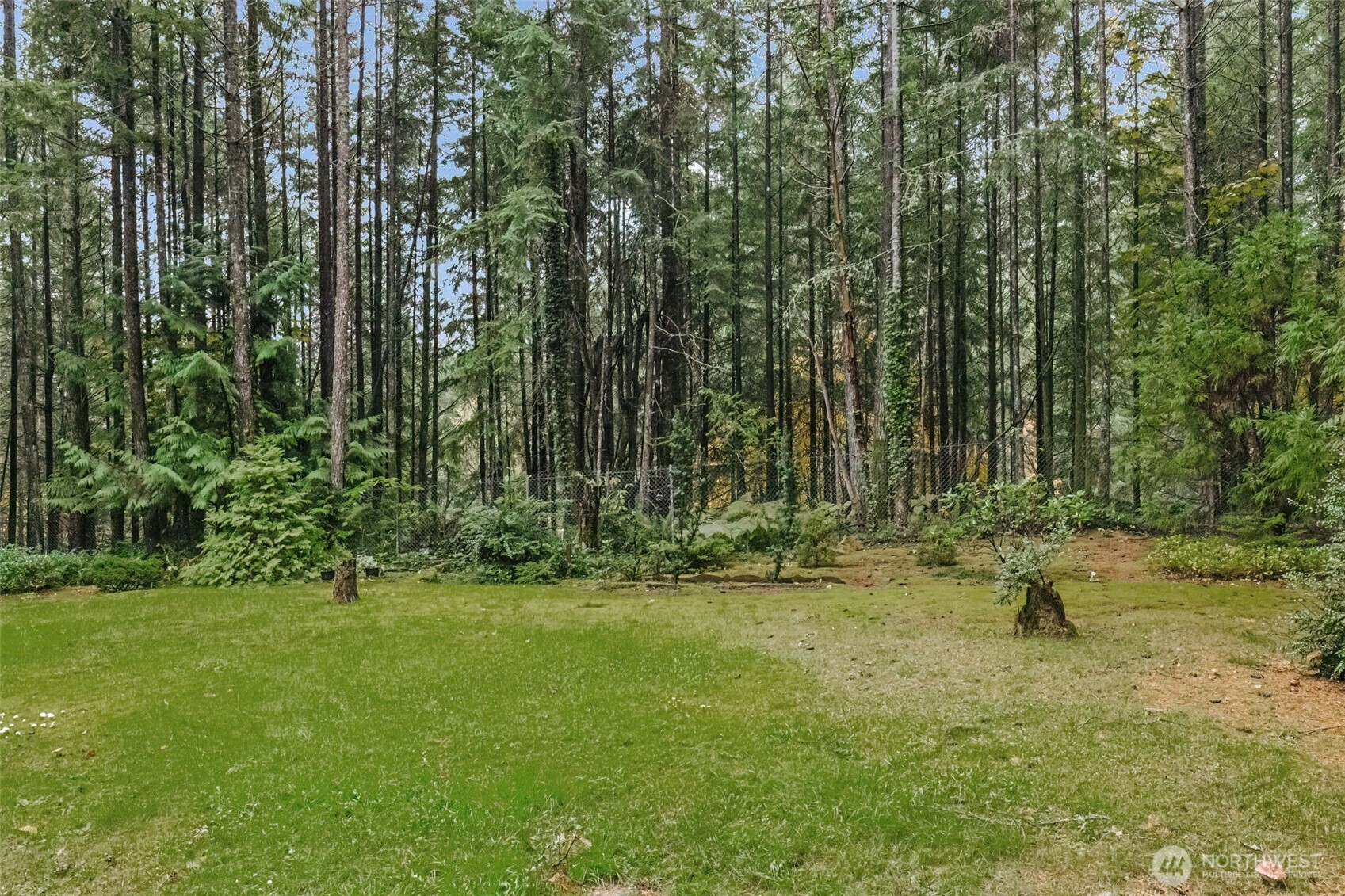 3303 Northwest Half Mile Road Silverdale, WA 98383 - Photo 28 of 33 a view of outdoor space and yard
