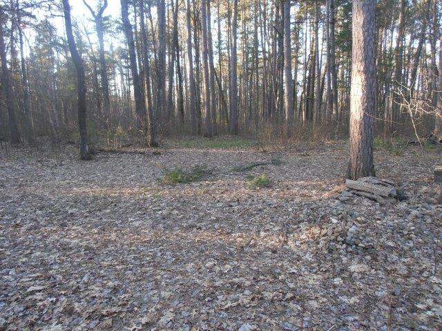 Lot 1 Sunrise Camp Road Minocqua, WI 54548 - Photo 8 of 13 Gallery Image 8