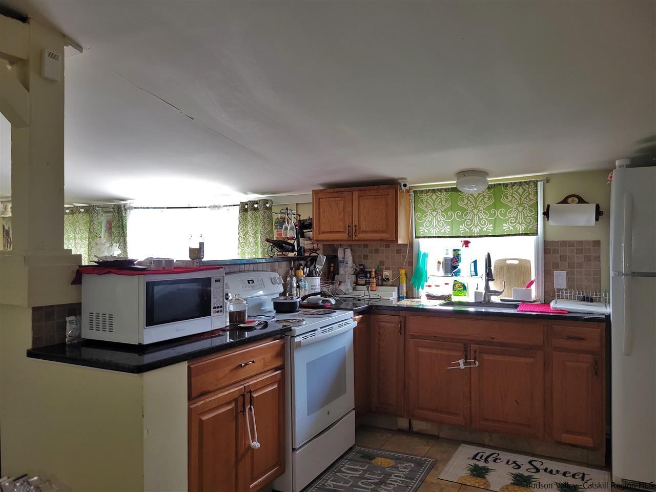 4232 Rte 9W Saugerties, NY 12490 - Photo 13 of 35 Ranch. EIK.