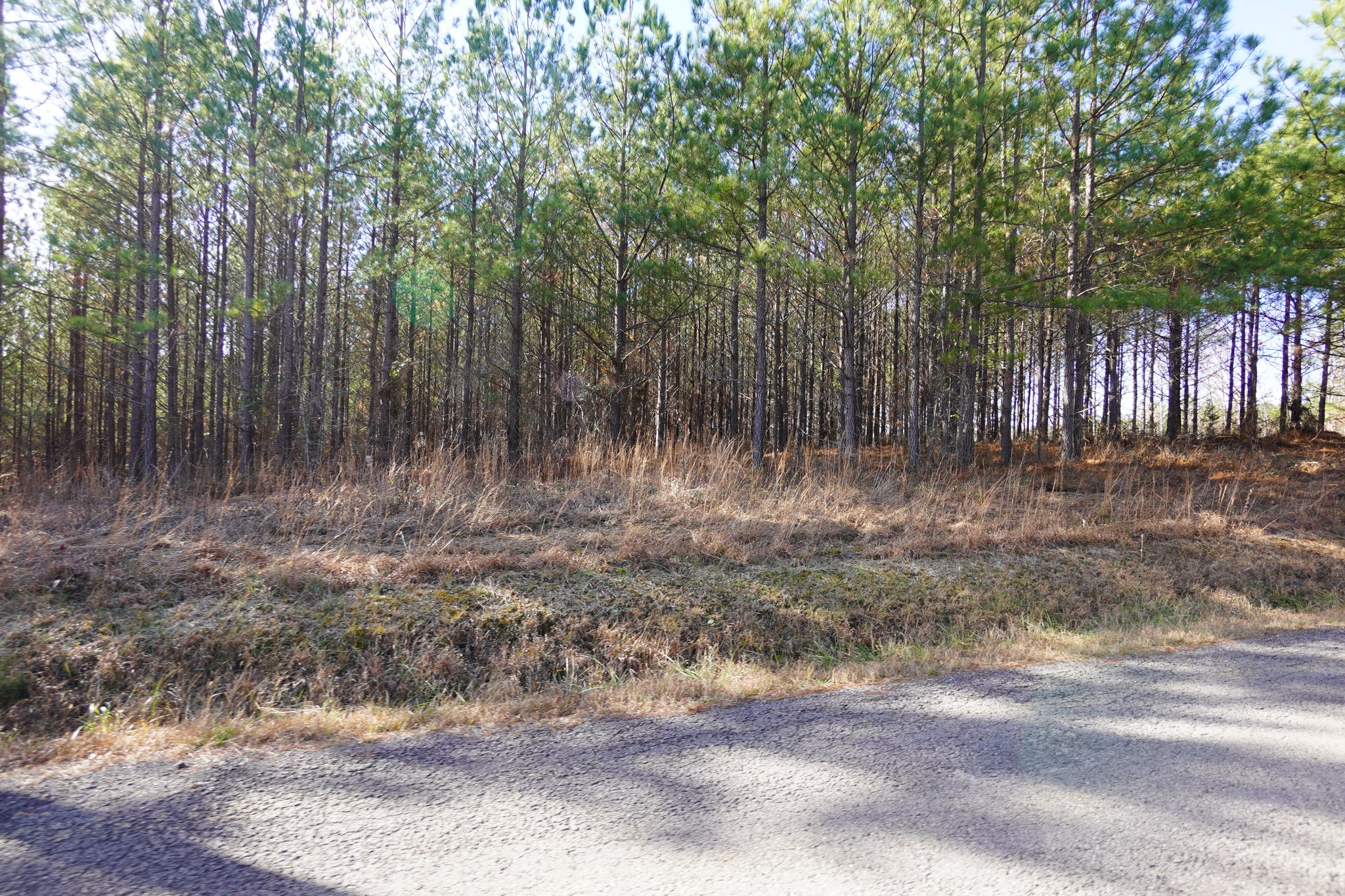 8 Ribbon Branch Road Dover, TN 37058 - Photo 8 of 13 Gallery Image 8