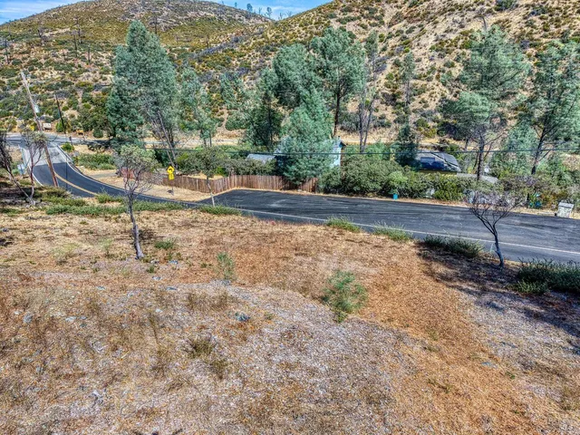a view of a yard with plants and trees