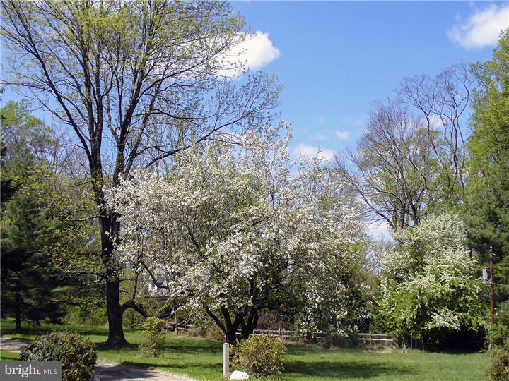 635 Newtown Road Berwyn, PA 19312 - Photo 5 of 8