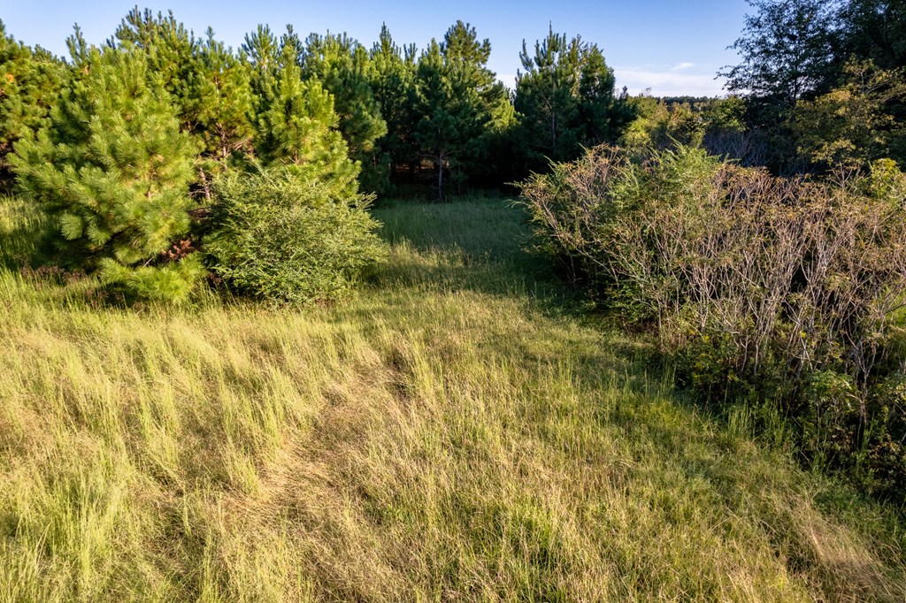 2226 Randall Wade Road Headland, AL 36345 - Photo 48 of 60