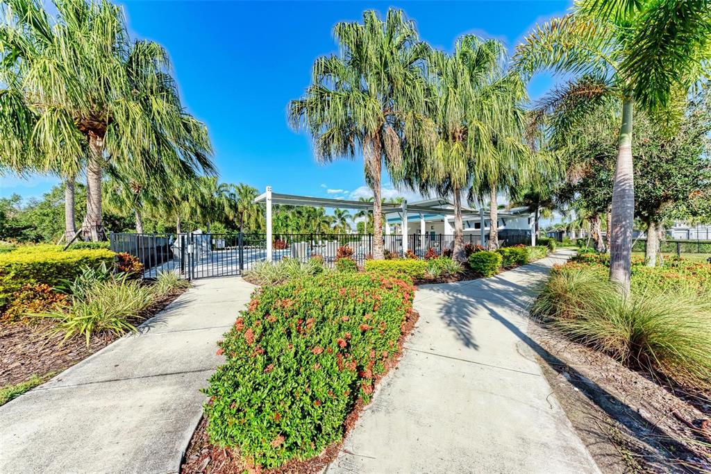 11427 Planetree Place Bradenton, FL 34211 - Photo 24 of 28 a view of a yard with plants and trees