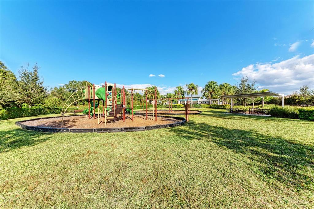 11427 Planetree Place Bradenton, FL 34211 - Photo 25 of 28 a view of a park with large trees