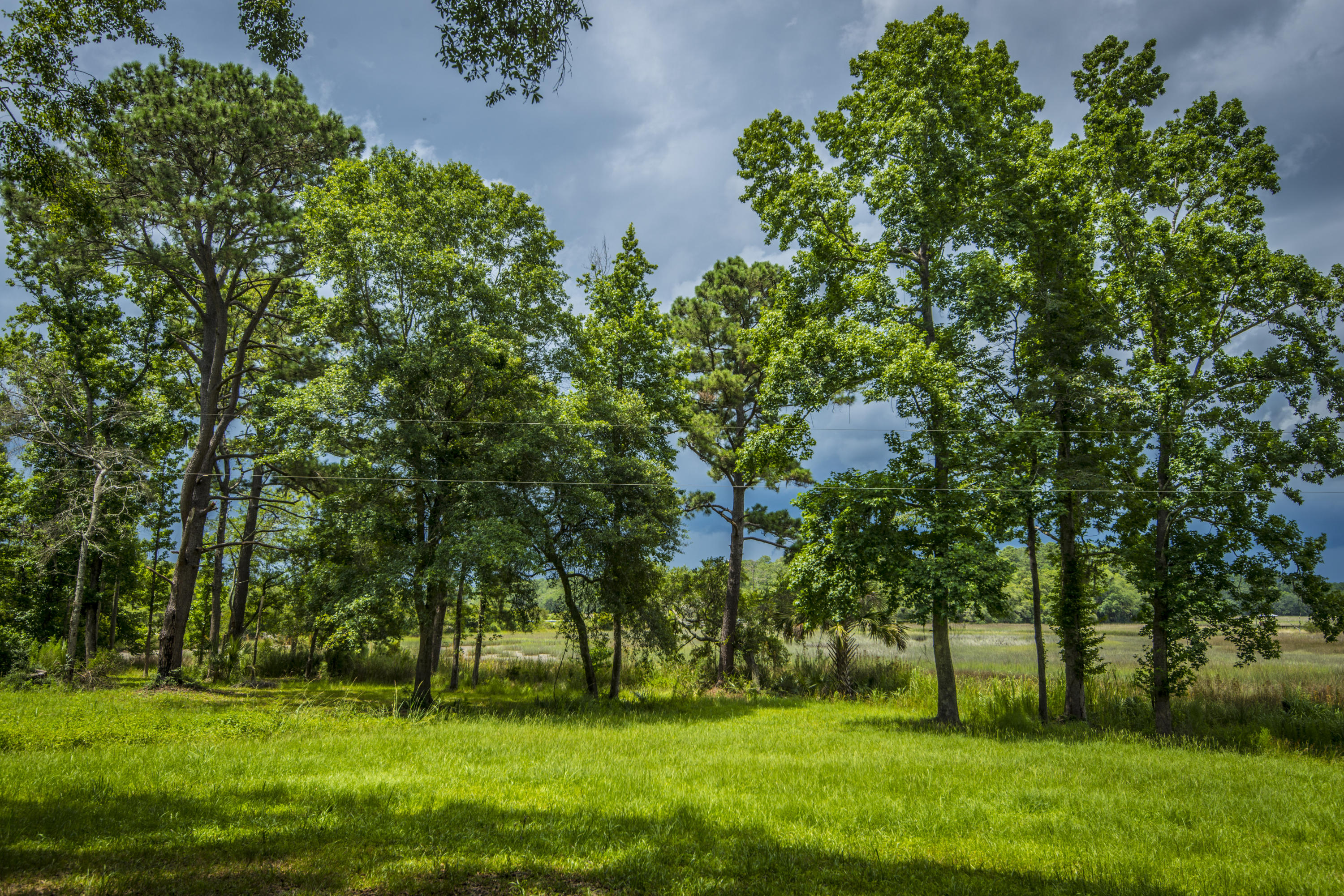 6392 Ranch Road Wadmalaw Island, SC 29487 - Photo 24 of 59 _DSC1625