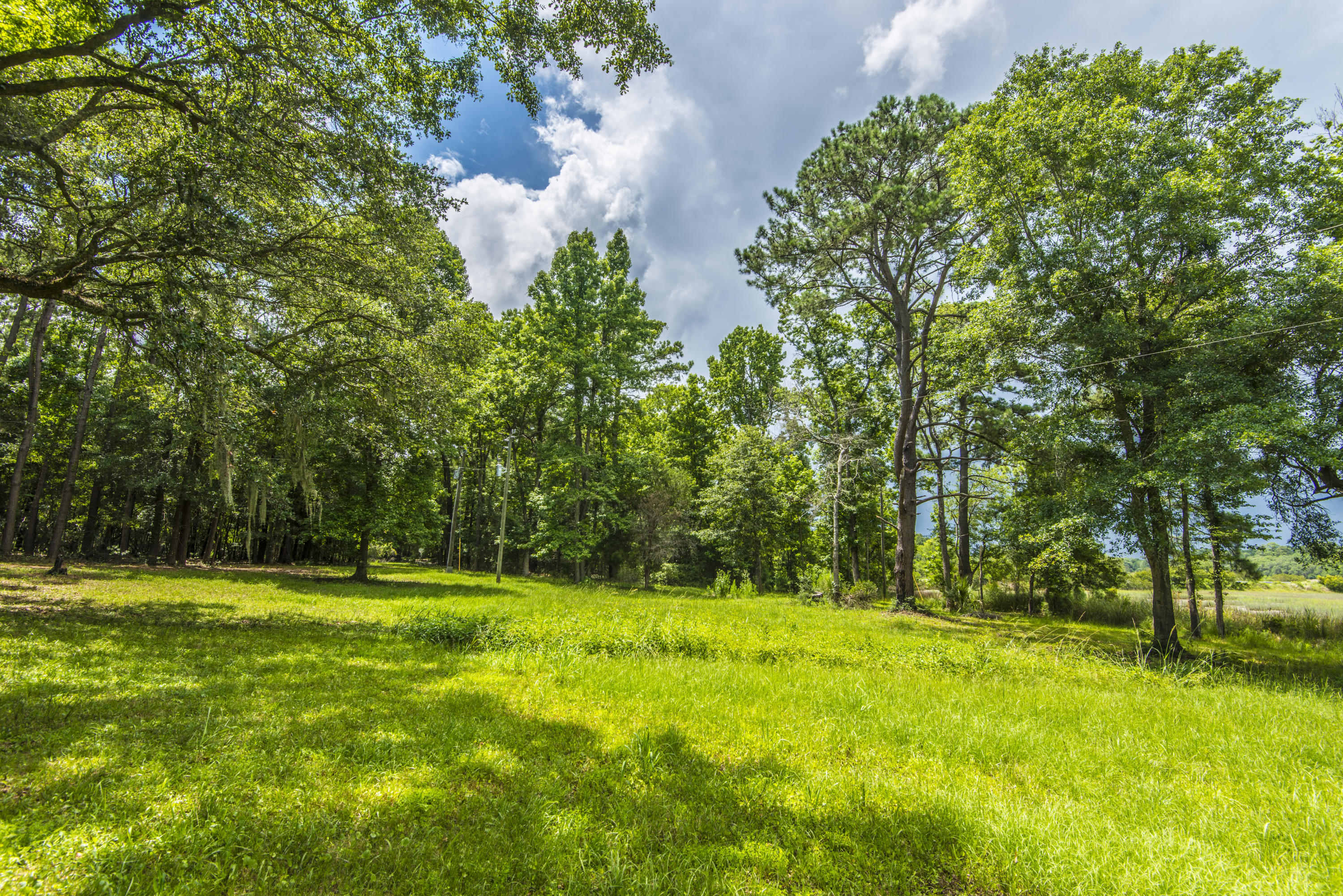 6392 Ranch Road Wadmalaw Island, SC 29487 - Photo 29 of 59 _DSC1630