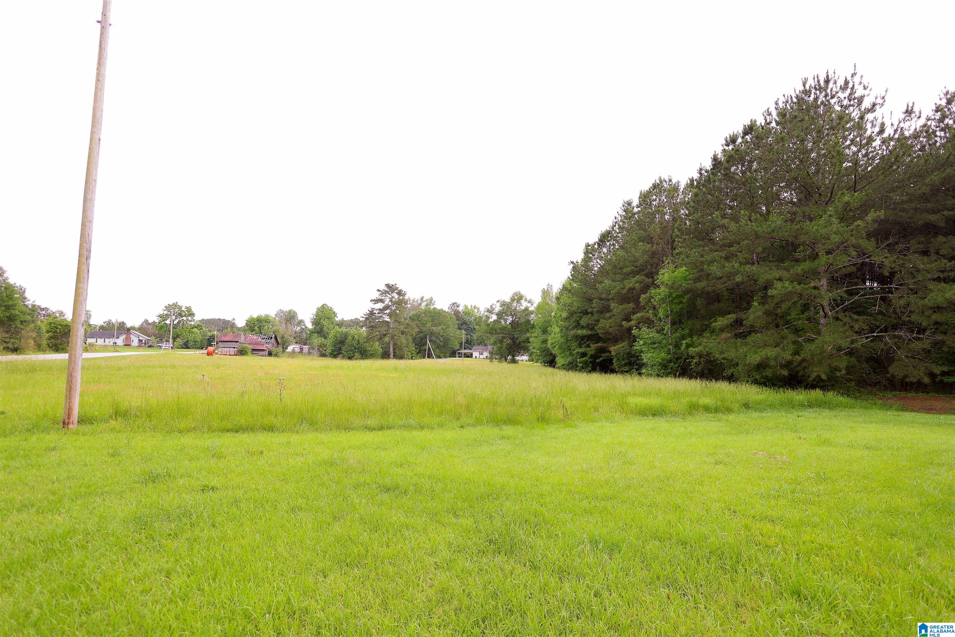 1619 Websters Chapel Road Wellington, AL 36279 - Photo 29 of 33