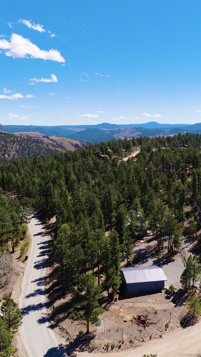 20 Long Ridge Drive Bailey, CO 80421 - Photo 39 of 40 Gallery Image 39