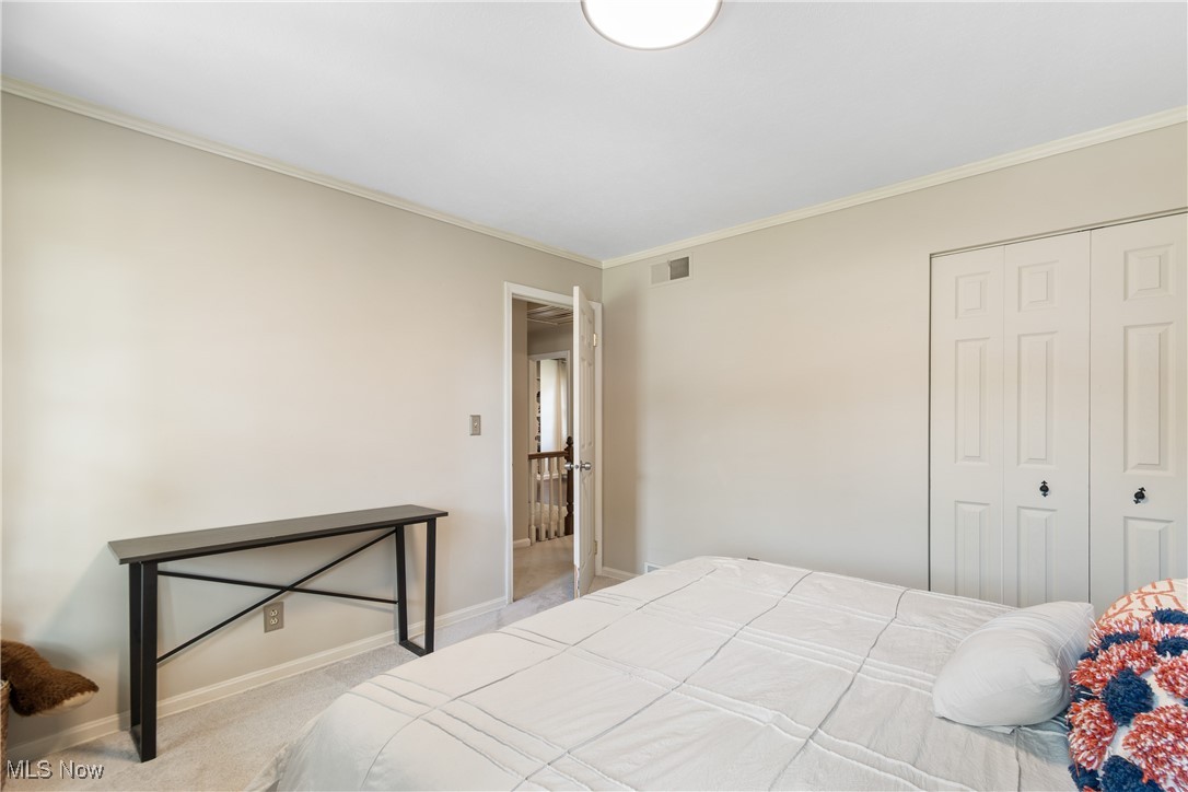 4401 Conestoga Trail Akron, OH 44321 - Photo 21 of 35 Bedroom with carpet flooring, ornamental molding, and a closet