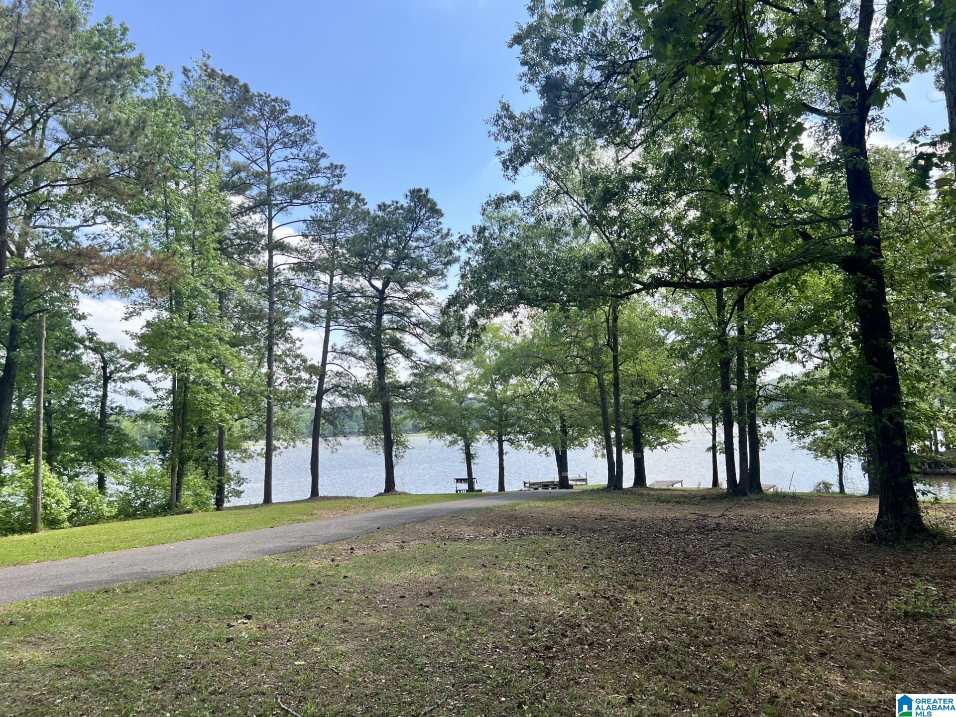 610 Tomahawk Trail Riverside, AL 35135 - Photo 15 of 20