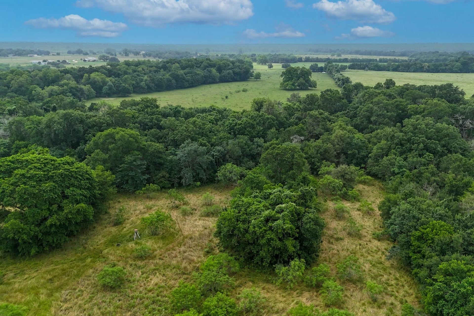 645 Jerrys Creek Road Lockhart, TX 78644 - Photo 5 of 16