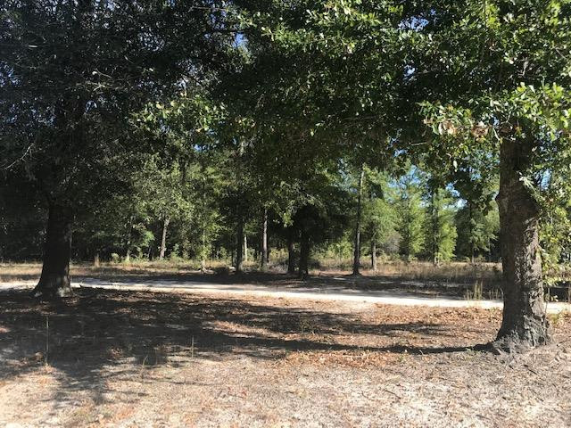 292 Martin Way Barnwell, SC 29812 - Photo 2 of 5