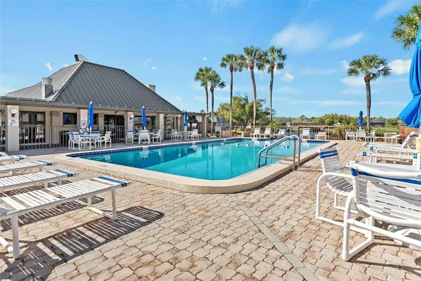 a view of a swimming pool with lawn chairs with plants