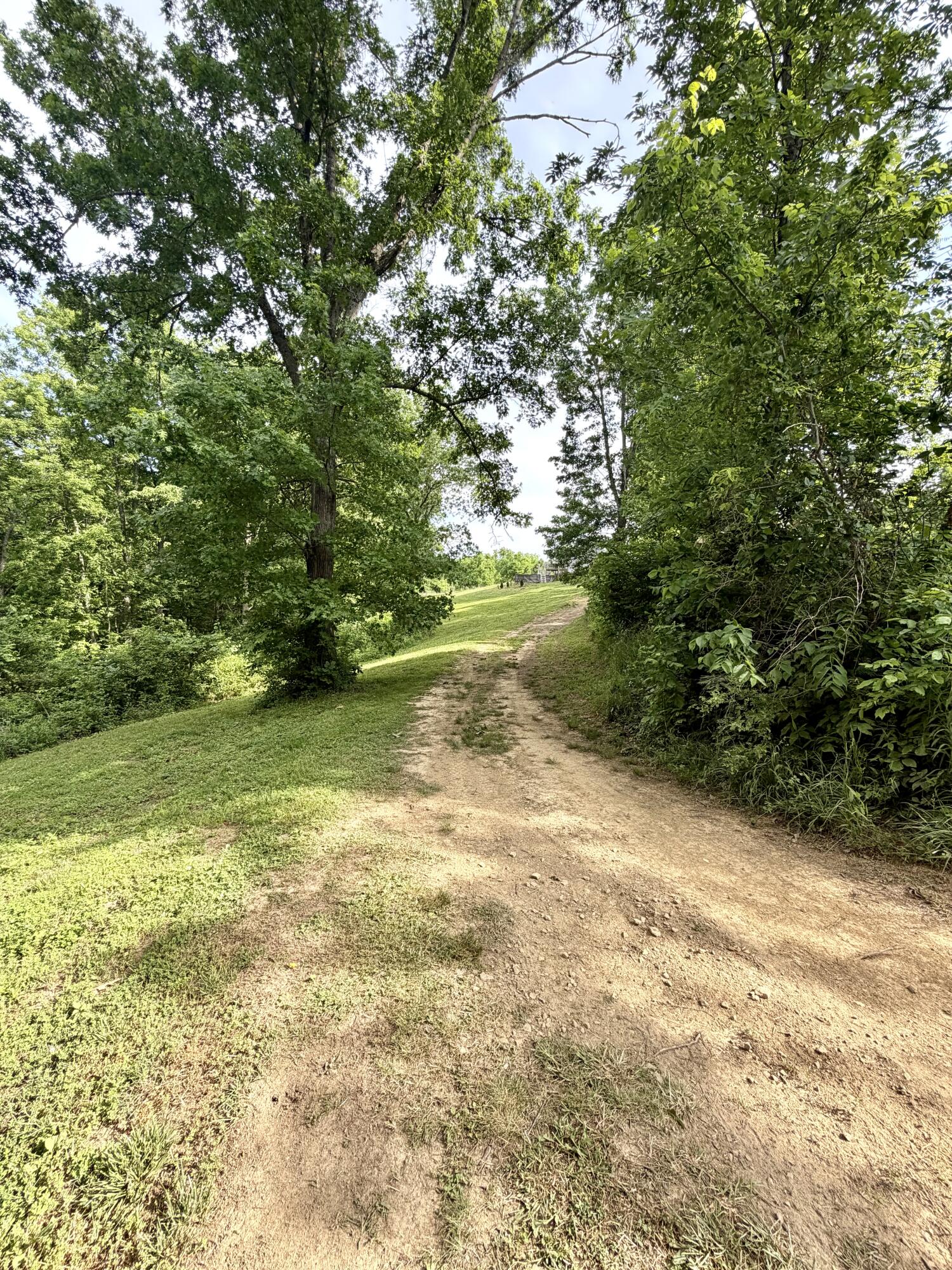 1050 Burgin Road Lawrenceburg, KY 40342 - Photo 9 of 45 IMG_3052
