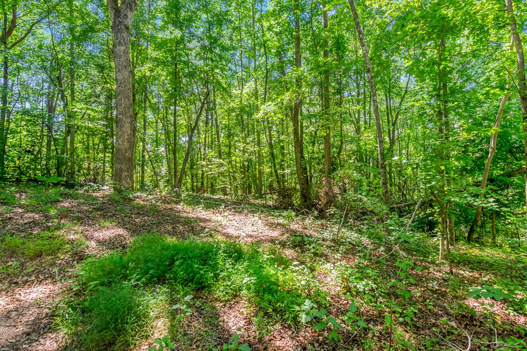 891 Upper Bethany Road Canton, GA 30114 - Photo 8 of 19