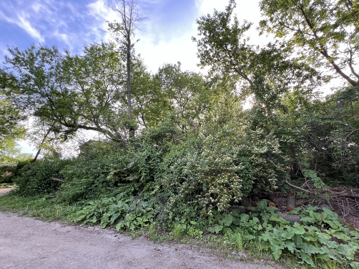 10401 Kenilworth Avenue Algonquin, IL 60102 - Photo 2 of 9 a view of a yard with a tree