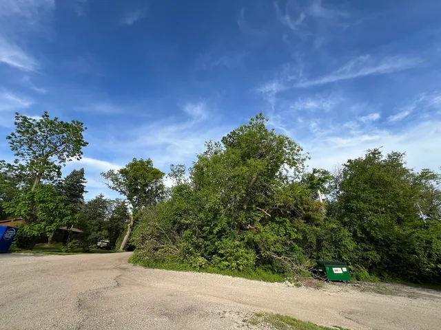 a backyard of a house with a tree