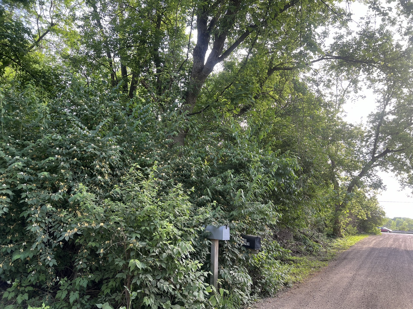 10401 Kenilworth Avenue Algonquin, IL 60102 - Photo 8 of 9 an aerial view of a house with a yard