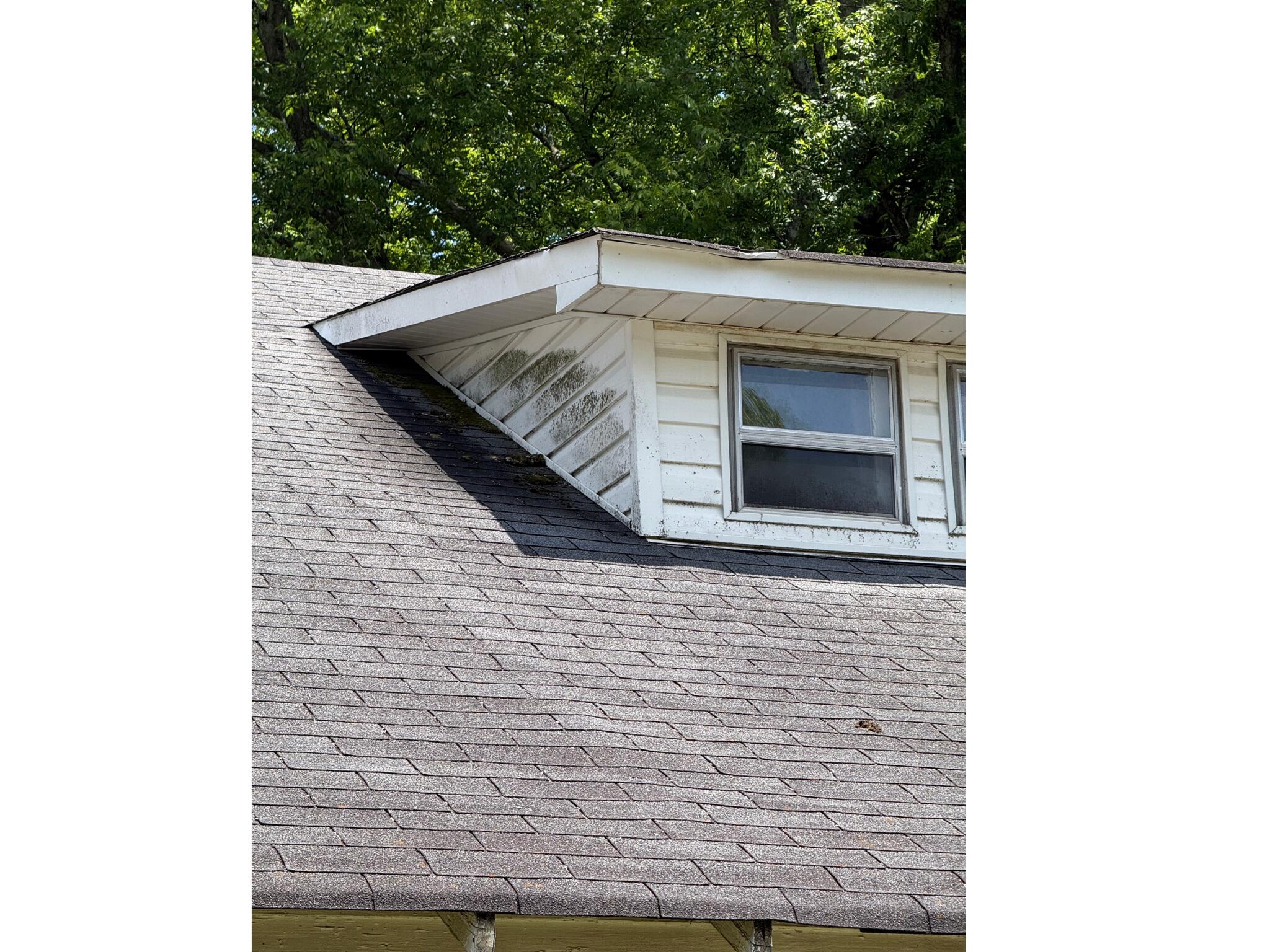 201 Rosedale Street Athens, TN 37303 - Photo 4 of 29 20