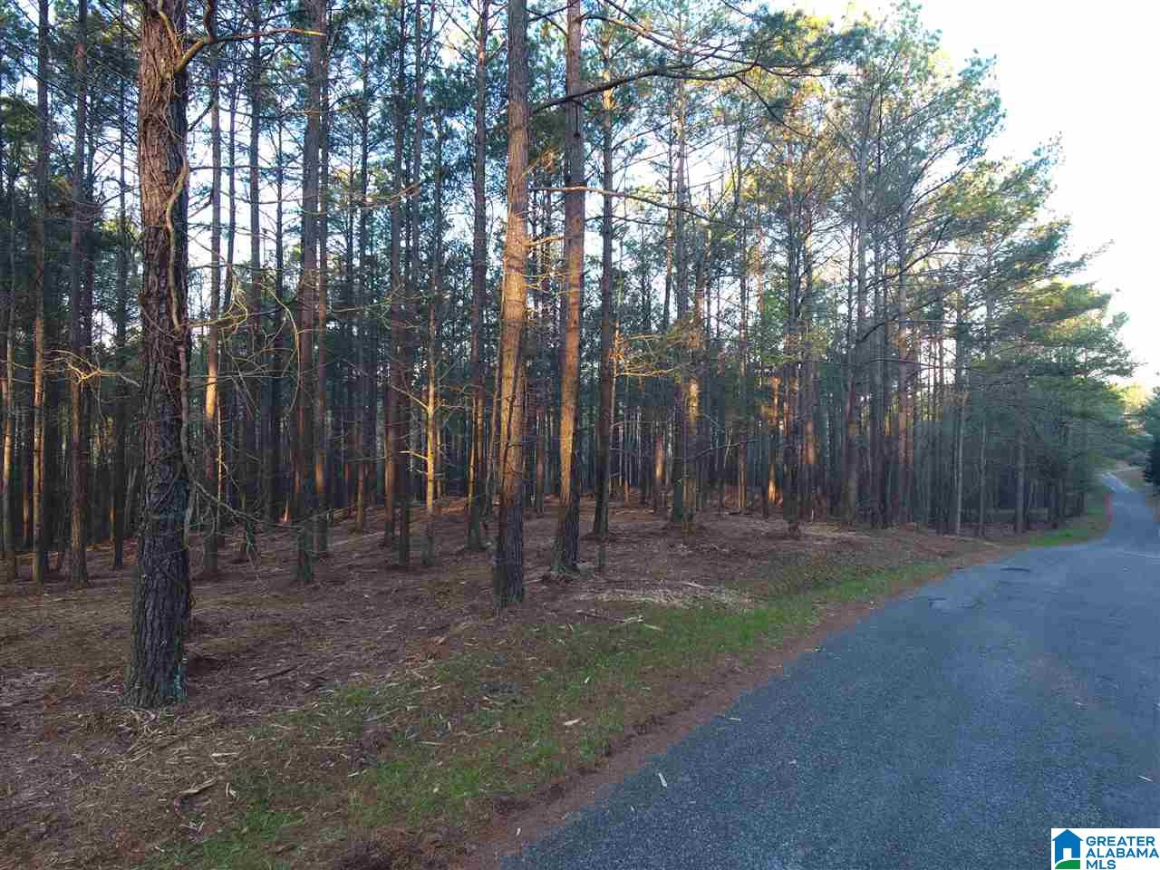 Creek Run Road Wedowee, AL 36278 - Photo 5 of 6
