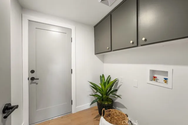 a potted plant sitting on a kitchen counter and a potted plant